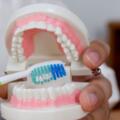 How Lifestyle Impacts Your Teeth: Diet, Stress, Smoking, and Daily Habits